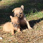 IMG_0448