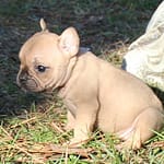 IMG_0517