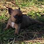 IMG_0575
