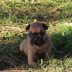 IMG_0582