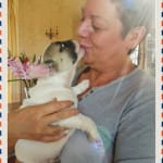 Coucou ! Je suis Luka et j'ai juste 2 mois. Je suis au poil dans ma nouvelle famille... Comment me trouvez-vous ?