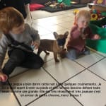 bonjour, Peppa à bien dormi cette nuit juste quelques couinements. Je lui ai déjà appris venir au pieds et elle fait ses besoins dehors toute seule comme une grande. Elle est très receptive et très joueuse. C'est un amour de petite chienne, merci à vous !!! bonjour, Peppa à bien dormi cette nuit juste quelques couinements. Je lui ai déjà appris venir au pieds et elle fait ses besoins dehors toute seule comme une grande. Elle est très receptive et très joueuse. C'est un amour de petite chienne, merci à vous !!!