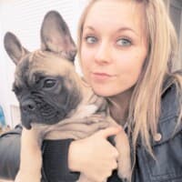 Nala pHOTO NALA BOULEDOGUE FAUVE