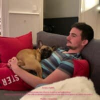 Bonjour Sybille, je vous envois des photos de notre merveilleux Roy! C'est un grand bébé, il est tres calin et demande beaucoup d'attention. Il est joueur et adore ses pairs ! Pauline, Tom et Roy né le 03/07/2019