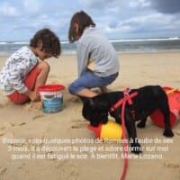 Voici quelques photos de Ramses à l'aube de ses 3 mois. Il a découvert la plage et adore dormir sur moi quand il est fatigué le soir. A bientôt Marie Lozano. Voici quelques photos de Ramses à l'aube de ses 3 mois. Il a découvert la plage et adore dormir sur moi quand il est fatigué le soir. A bientôt Marie Lozano.