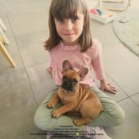 Bonjour Sybille, j'espere que vous allez bien ? Voici quelques photos de notre beau Ringo. Tout se passe trés bien, il est curieux et gourmand ;) (il revient toujour du potager avec un legume/ fruit dans la bouche) mais c'est une vrai boule d'amour. Passez une bonne journée.
Emilie Cuenca Bonjour Sybille, j'espere que vous allez bien ? Voici quelques photos de notre beau Ringo. Tout se passe trés bien, il est curieux et gourmand ;) (il revient toujour du potager avec un legume/ fruit dans la bouche) mais c'est une vrai boule d'amour. Passez une bonne journée. Emilie Cuenca