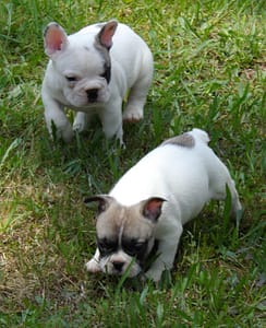 IMGP0627