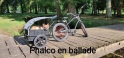 Phalco en ballade