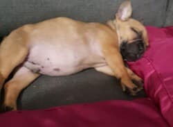 némo : "Quand je dors"