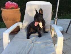 Photo de Maurice appartenant à M et Mme Plon