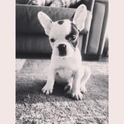 photo ginette de M Plon