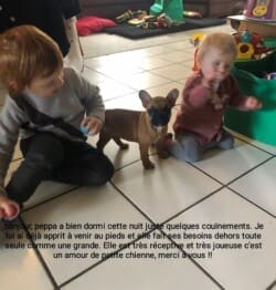 bonjour, Peppa à bien dormi cette nuit juste quelques couinements. Je lui ai déjà appris venir au pieds et elle fait ses besoins dehors toute seule comme une grande. Elle est très receptive et très joueuse. C'est un amour de petite chienne, merci à vous !!! bonjour, Peppa à bien dormi cette nuit juste quelques couinements. Je lui ai déjà appris venir au pieds et elle fait ses besoins dehors toute seule comme une grande. Elle est très receptive et très joueuse. C'est un amour de petite chienne, merci à vous !!!