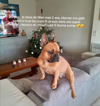 Decembre 2023: bonjour, je viens de fêter mes 2 ans, maman m'a gaté comme tous les jours. Je suis dans une super forme.....heureux et chouchouté!!!!! Bonne soirée Decembre 2023: bonjour, je viens de fêter mes 2 ans, maman m'a gaté comme tous les jours. Je suis dans une super forme.....heureux et chouchouté!!!!! Bonne soirée