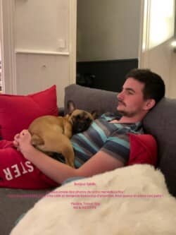 Bonjour Sybille, je vous envois des photos de notre merveilleux Roy! C'est un grand bébé, il est tres calin et demande beaucoup d'attention. Il est joueur et adore ses pairs ! Pauline, Tom et Roy né le 03/07/2019