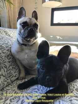 Je vous souhaite une trés belle année. Voici Louisa et Ramses. Bien à vous. Martine Lajus- Rouquette Je vous souhaite une trés belle année. Voici Louisa et Ramses. Bien à vous. Martine Lajus- Rouquette