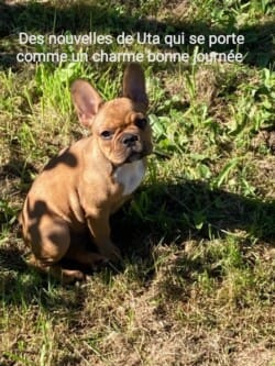 Des nouvelles de Uta qui se porte comme un charme, bonne journée Des nouvelles de Uta qui se porte comme un charme, bonne journée