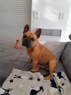 Symba Janvier 2025 Symba Janvier 2025