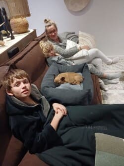 Novembre 2024: il s'intègre très bien Novembre 2024: il s'intègre très bien