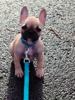 janvier 2025 Panda janvier 2025 Panda