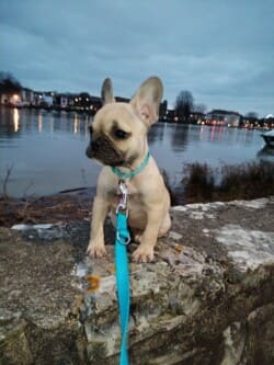 Panda janvier 2025 Panda janvier 2025