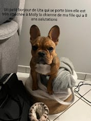 Décembre 2023: Un petit bonjour de UTA qui se porte bien, elle est trés attachée à Molly la chienne de ma fille qui à 8 ans. Salutations Décembre 2023: Un petit bonjour de UTA qui se porte bien, elle est trés attachée à Molly la chienne de ma fille qui à 8 ans. Salutations