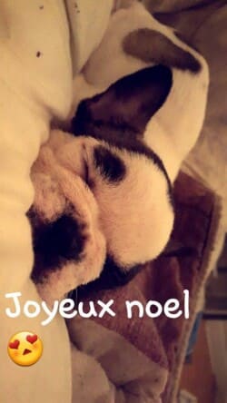 Je vous souhaite de joyeuse s fêtes en vous remerciant de votre magnifique cadeaux de Noêl