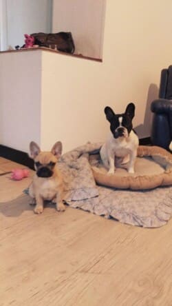 photos d'Arya qui à maintenant 4 mois photos d'Arya qui à maintenant 4 mois